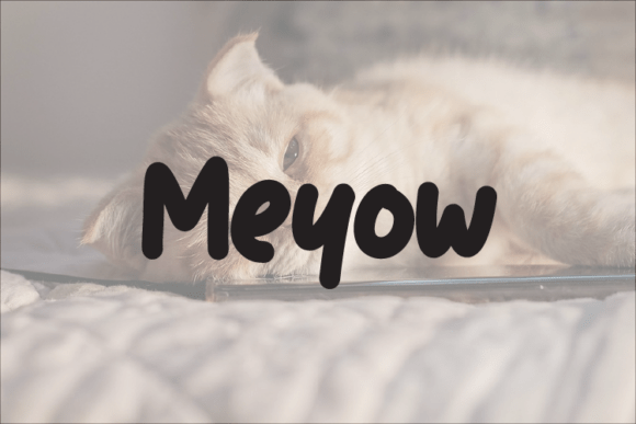 Meyow: A Font That Elevates Branding